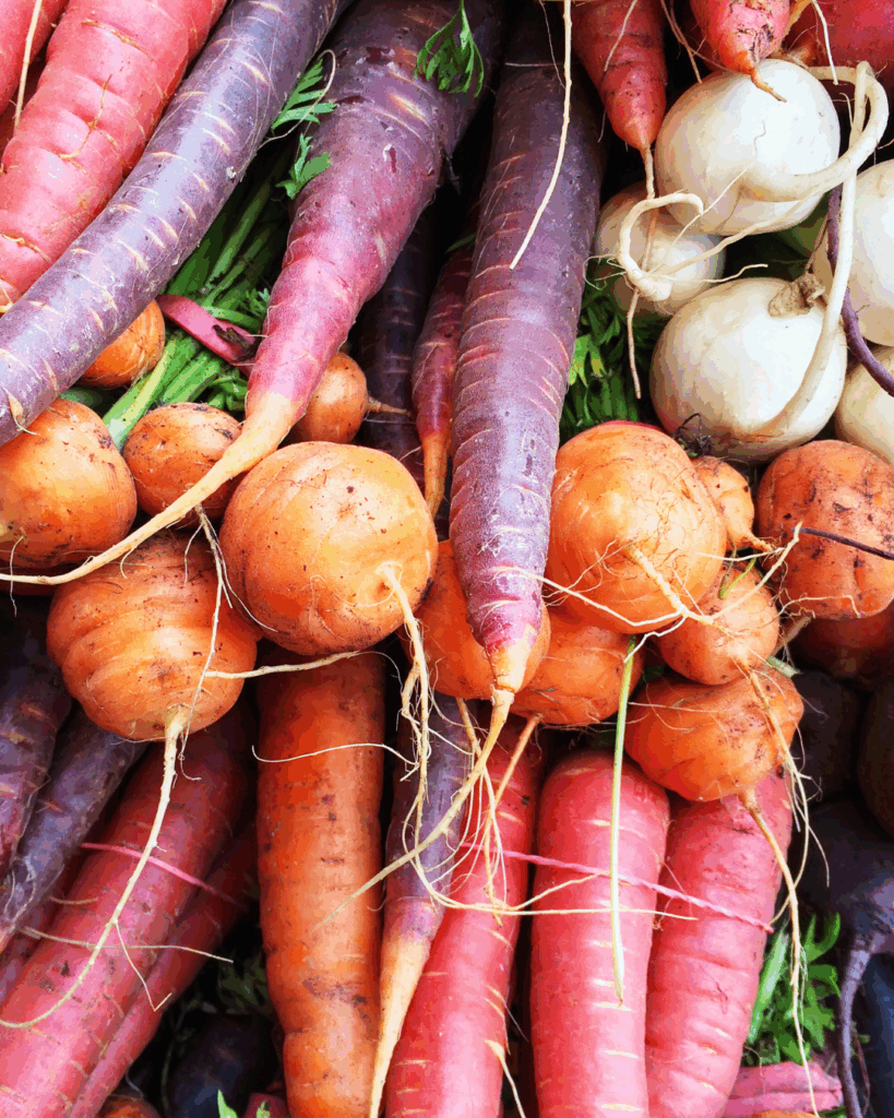 Fermentieren Mikrobiom Darm Darmgesundheit Gemüse Kochkurs Anna Nicklaus Wildkitchen Gmuend Kaernten
